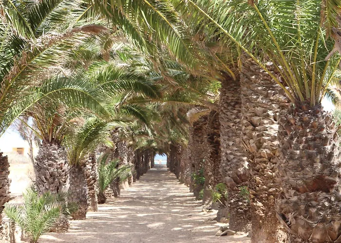 Pe N' Areia House Vakantiehuis *
